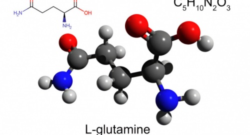 Dissezione del Metabolismo della L-Glutammina nella Leucemia Mieloide Acuta: Scoperte e Implicazioni Terapeutiche